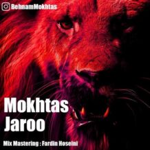 دانلود آهنگ جدید مختص به نام جارو